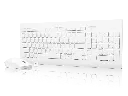 90ba2834-0530-4d97-b3a8-ed9718179088.webp