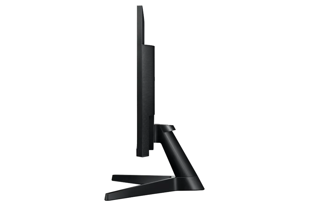 image_5.webp