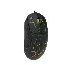 image_1.webp