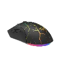 image_5.webp