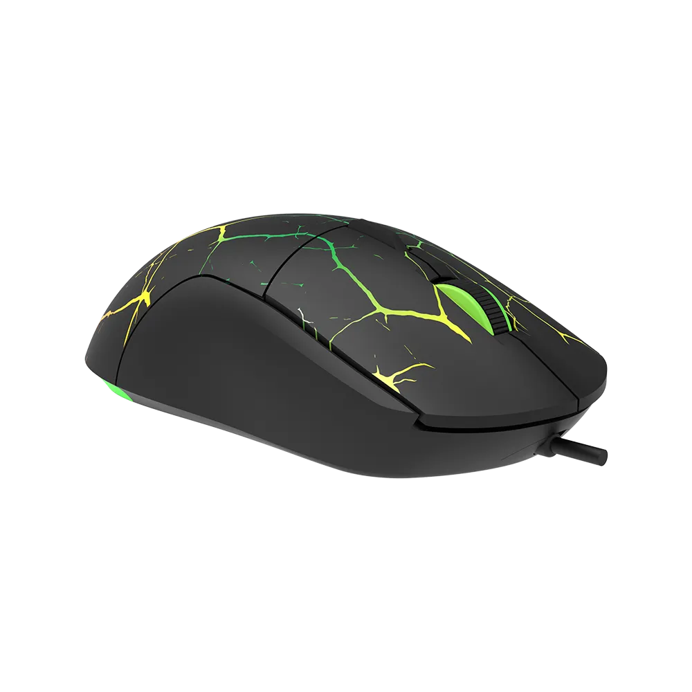 image_7.webp