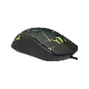 image_7.webp