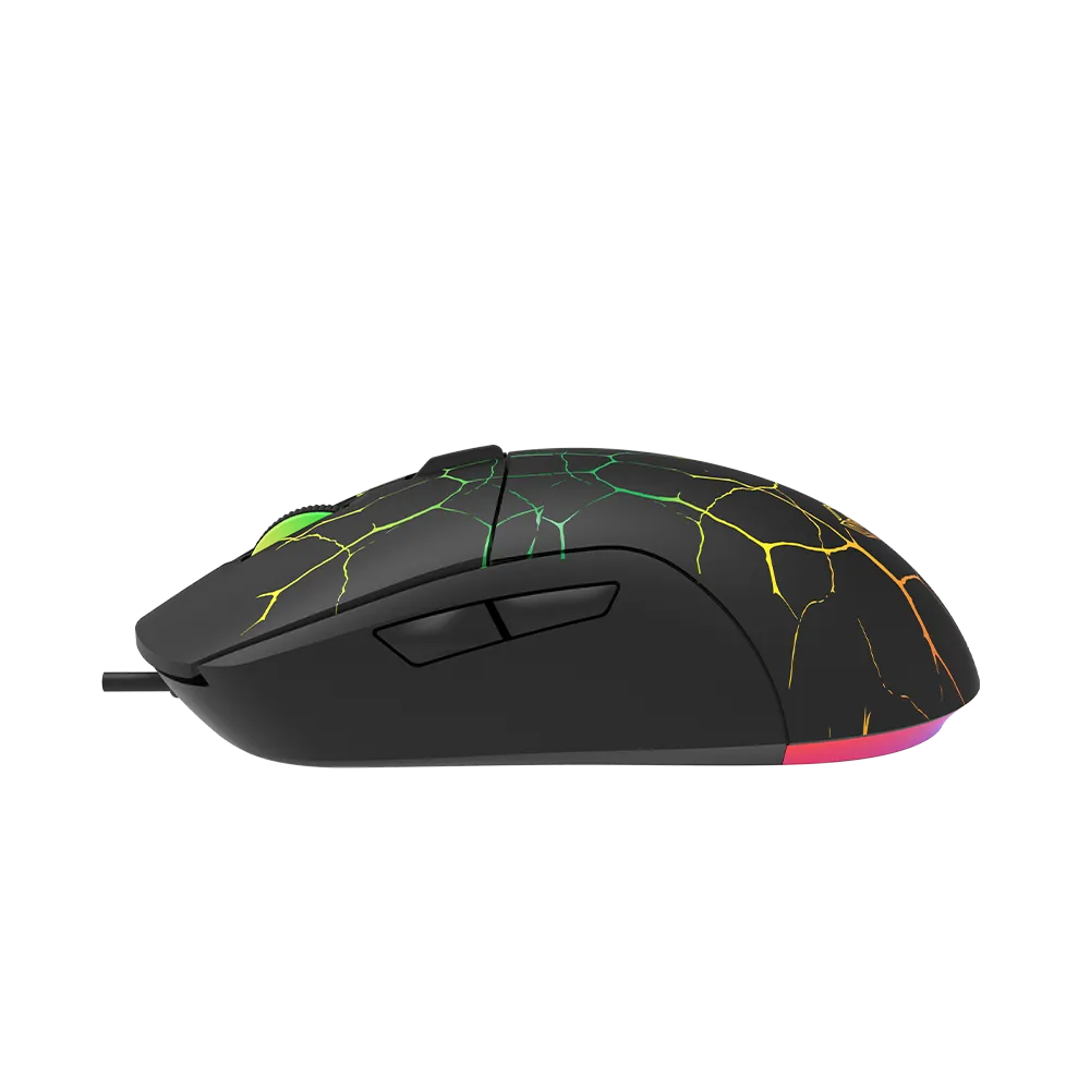 image_4.webp
