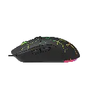 image_4.webp